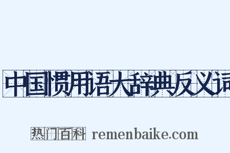 中国惯用语大辞典反义词是什么意思的图片